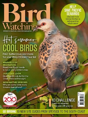 Bird Watching  - Magazine